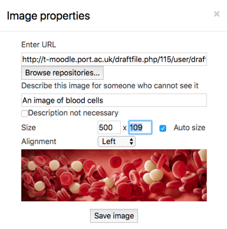 Screenshot of the image properties dialog box